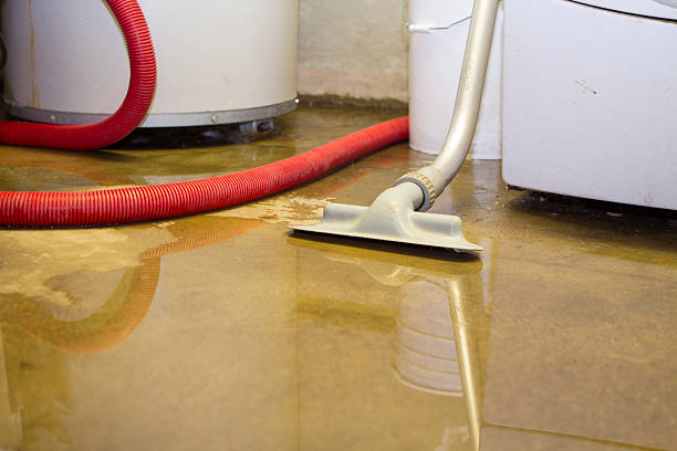 Best Water damage restoration services  in Universal City, TX