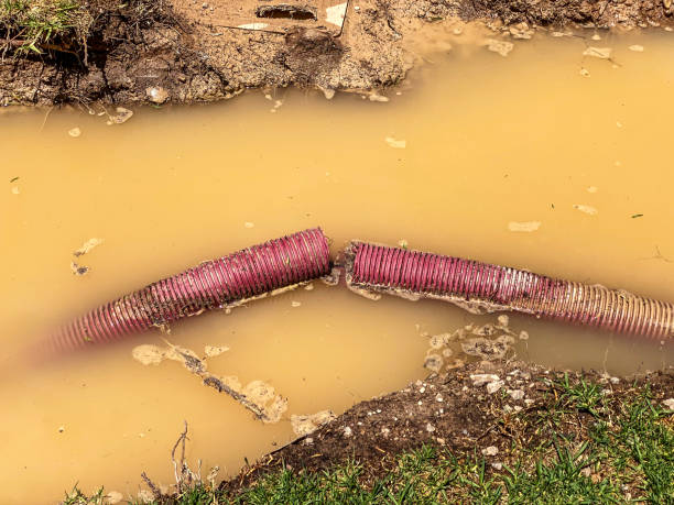 Best Water damage restoration near me  in Universal City, TX